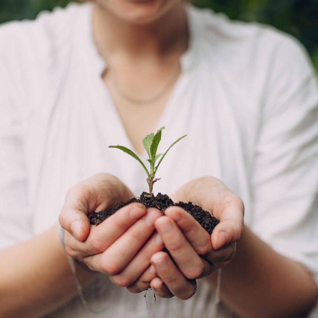 person holding a seedling in dirt representing planting new intentions